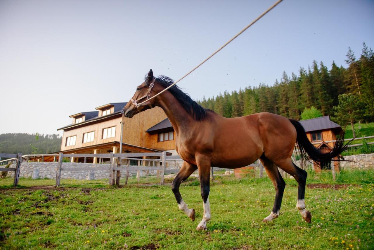 Etno Selo Zminica Hotel Zabljak  Exterior photo